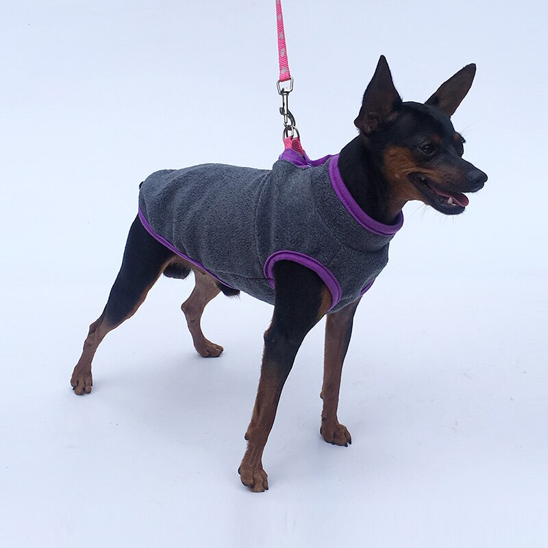 Warme Hund Mantel Vlies Winter Hund Kleidung Französisch Bulldogge Mops Chihuahua Haustier Welpen Kleidung Kleine Hund Jacke Kleidung für Hund mäntel
