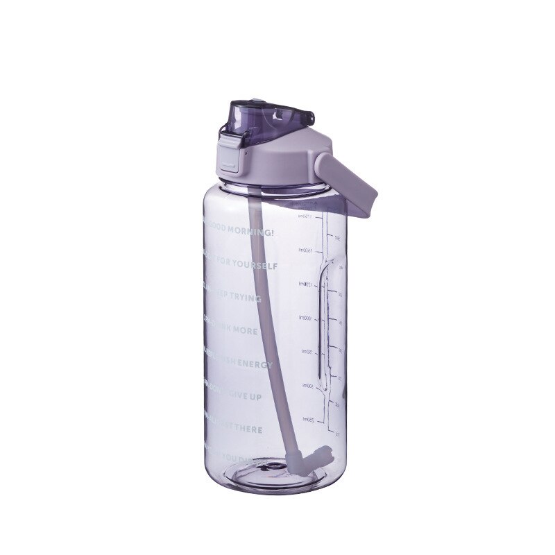 2L Grote Capaciteit Waterfles Met Tijd Marker Portable Bpa Gratis Stro Cup Lekvrij Drinken Fles Outdoor Sport Fitness Jug: Purple-Straight