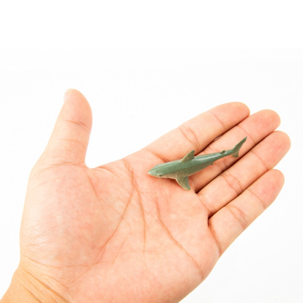 Hav liv dyr delfin krabbe skilpadde modell actionfigurer figurer hav marine akvarium miniatyr utdanning leker