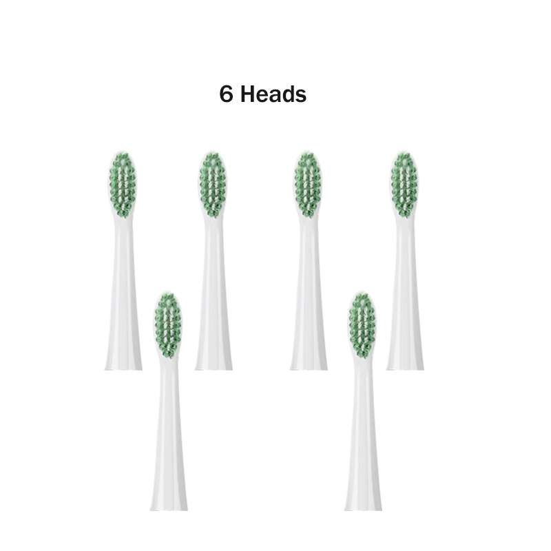 Ultrasonic Electric Toothbrush Adult Set Stainless Steel Waterproof Powerful Electric Toothbrush Sonic USB Charger Whitening: 6 heads