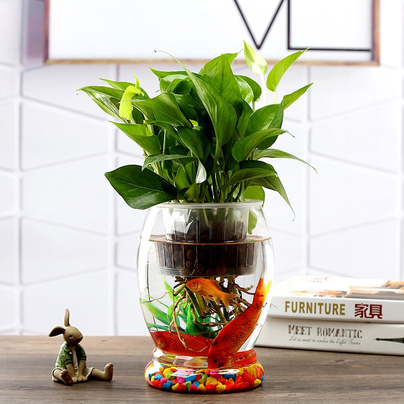 Goldfish Bowl Round Living Room Office Desktop Small Ecological Aquarium Household Glass Fish Tank