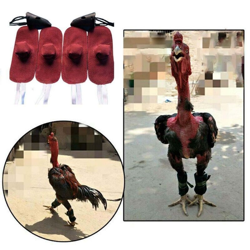 517E – mitaine coq en cuir, Kit d&#39;outils de combat Gallos, fournitures de Protection de combat pour poules, animaux de ferme, accessoires de poulailler