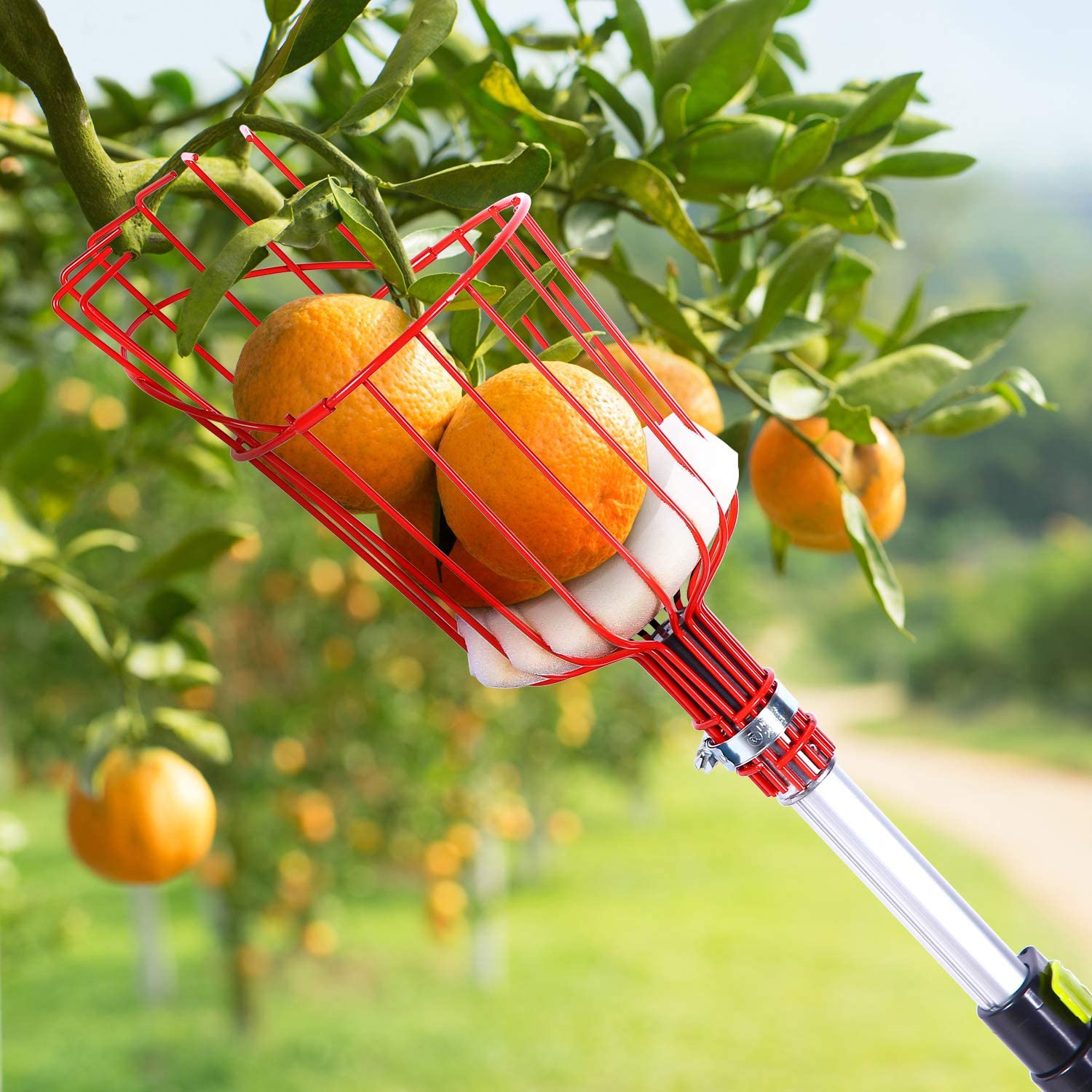 1PC High-altitude Fruit Picker Catcher Fruit Picking Tool Gardening Farm Garden Hardware Picking Device Garden Greenhouses Tool