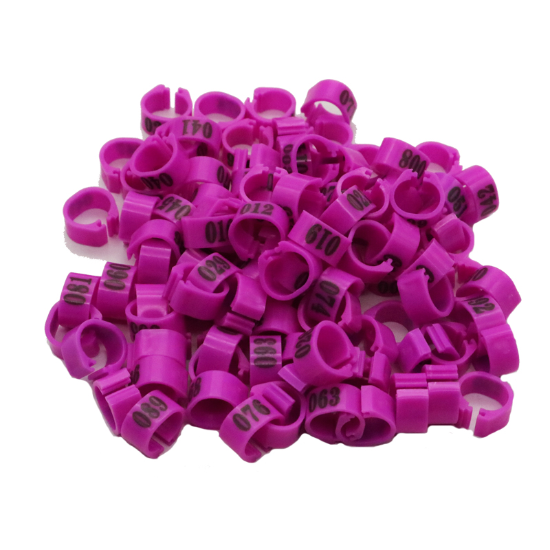 100 stks Binnendiameter 12 MM 14 MM Duif Vogel Plastic Clip Ringen Duif gekleurde voetring Nr.1-100 Gevogelte Beenbanden: L / Paars