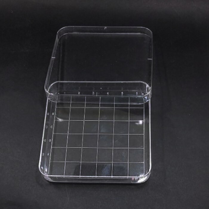 10Pcs Clear 10*10Cm Geschaald Vierkante Plastic Petrischaal Met Deksel, Cultuur Schotel