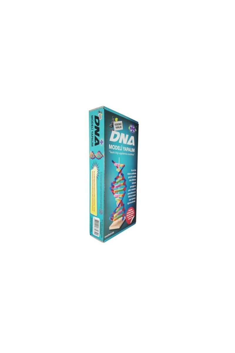 Dna Model Laat Experiment Kit