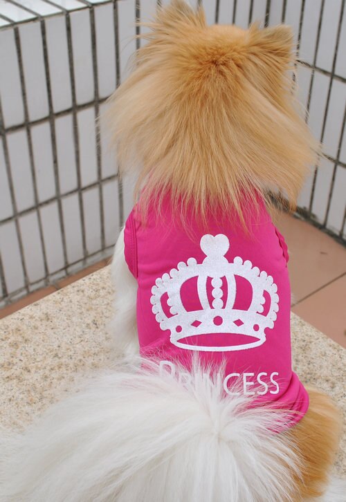 Animal de compagnie chien chat doux mignon princesse robes chiot chien vêtements été Puggy manteau Costumes 1 pièces