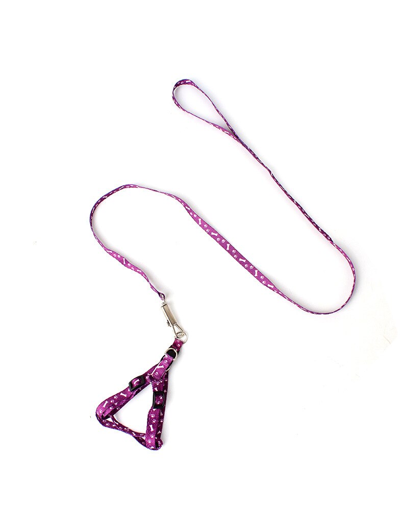 Conjunto de arnés y correa con estampado de hueso para perro, conjunto de para Chihuahua, para perros pequeños, accesorios ajustables para cachorros que caminan, Verano: 08