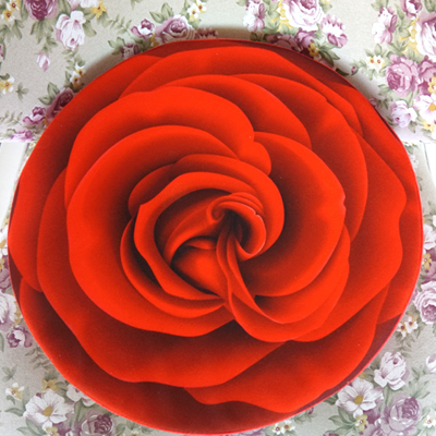 Creatieve Stump Kussen Kussen Ronde Kussen, Grote Leuke Boom Lange kussen Cilindrische Removabl & wasbare Voor Mannen Vrouwen: 8