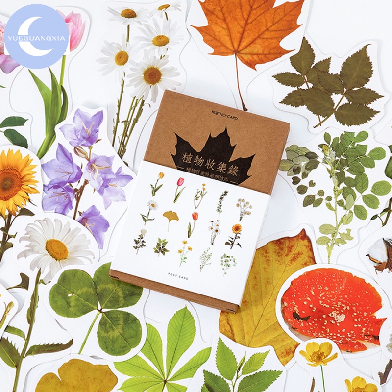 YueGuangXia Herbal Botany Series of Postcards Group Travel Invitation Greeting Ivory Card Wish Cards Office Stationery