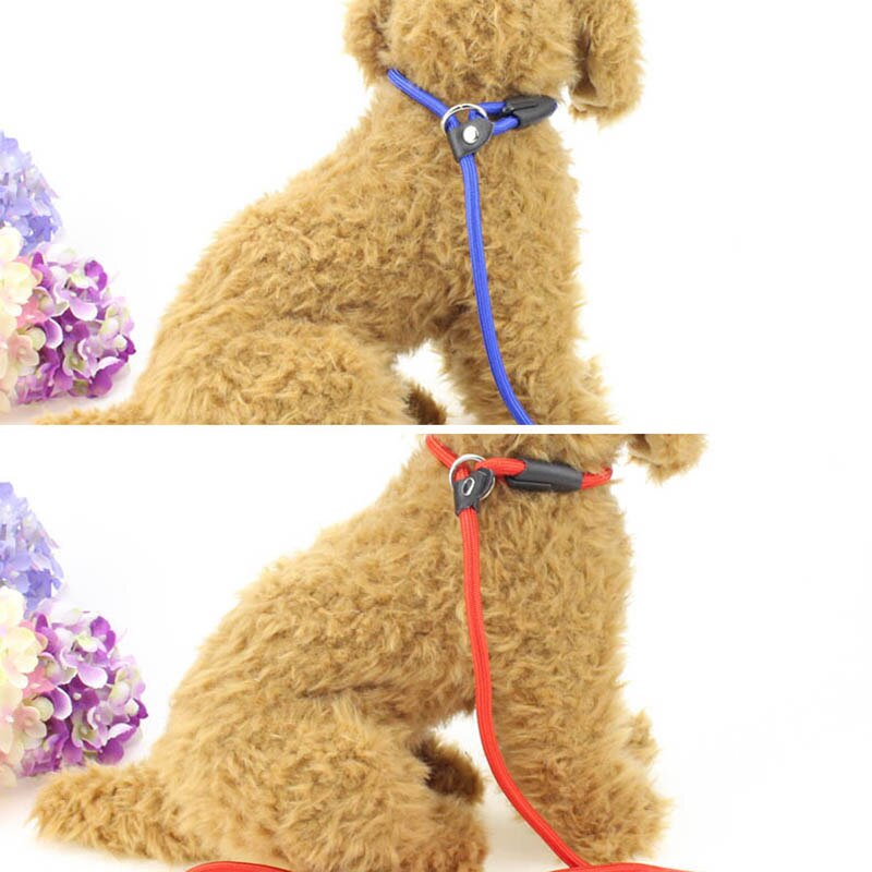 1 PC Nylon dog leash collar dog accessories pet supplies produtos para cachorro