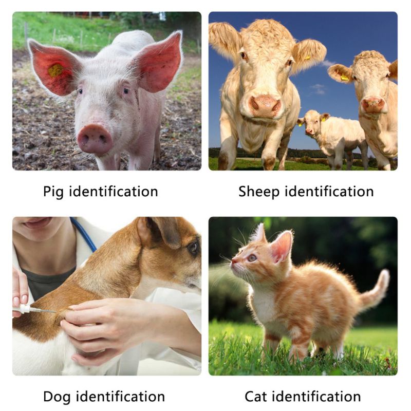 Dier Identificatie Chip Code Scanner Hond Id Elektronische Reader Transponder