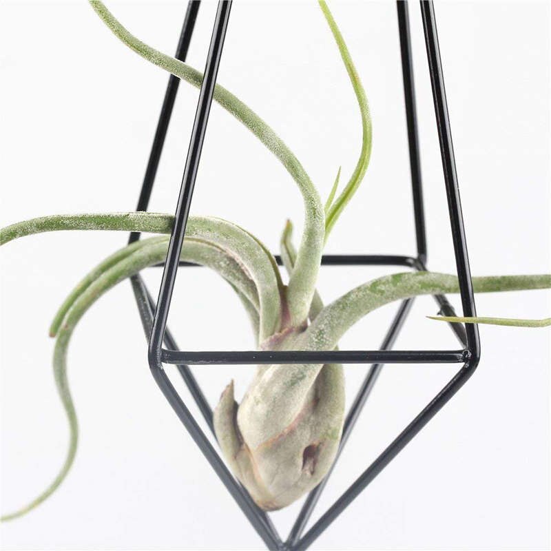 Moderna di Arte Rustica Stile Freestanding ferro Appeso Tillandsia Aria Pianta Rack Holder Nero 10.2 Pollici Altezza Quadrilatero Pyrami
