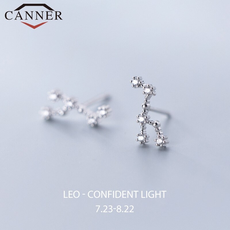 12 konstellation Kleine Frische Minimalistischen CZ Zirkon Ohrringe für Frauen 925 Sterling silber nette Stud Ohrringe Geburtstag: Leo