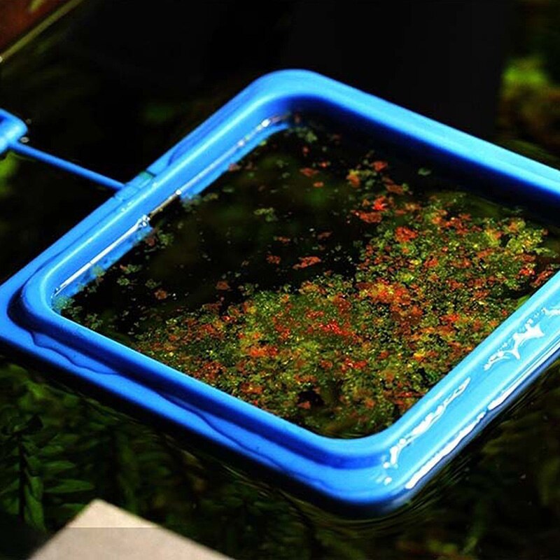 Alimentador de anillo cuadrado/circular para acuario, estación de alimentación flotante, comida, X6HD
