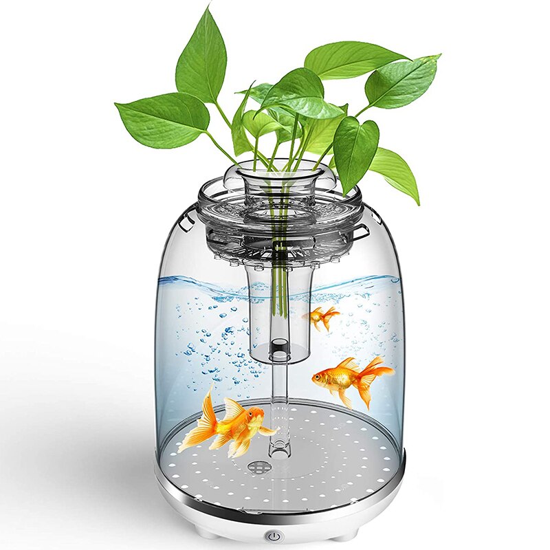 Fish Tank Aquarium Starter Kit Automatic LED Lighting Power Filter, Gold Fish Tank, Self-Cleaning Fish Tank