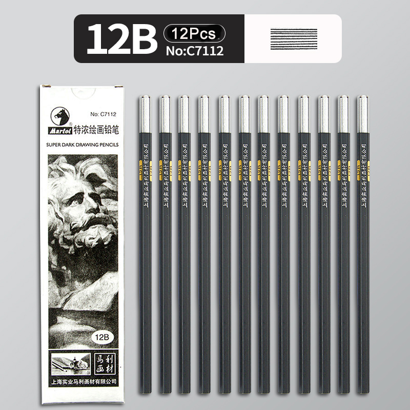 12Pcs 2H HB B 2B 3B 4B 5B 6B 7B 8B 12B 14B Sketch Drawing Graphite Shading Charcoal Pencils Set Sketching for Artists Beginners: light yellow