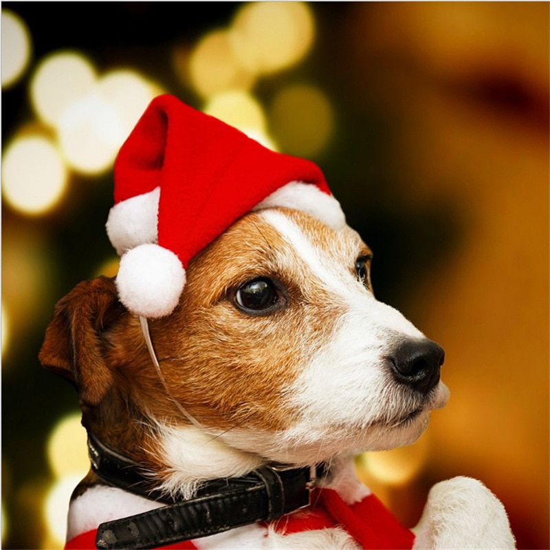 Dierbenodigdheden Kerst decoraties Huisdier Kerst Hoed Hond Hoed Kerstman Winter Warm Xmas Party Kerst Hoeden Warm Puppy Hoed