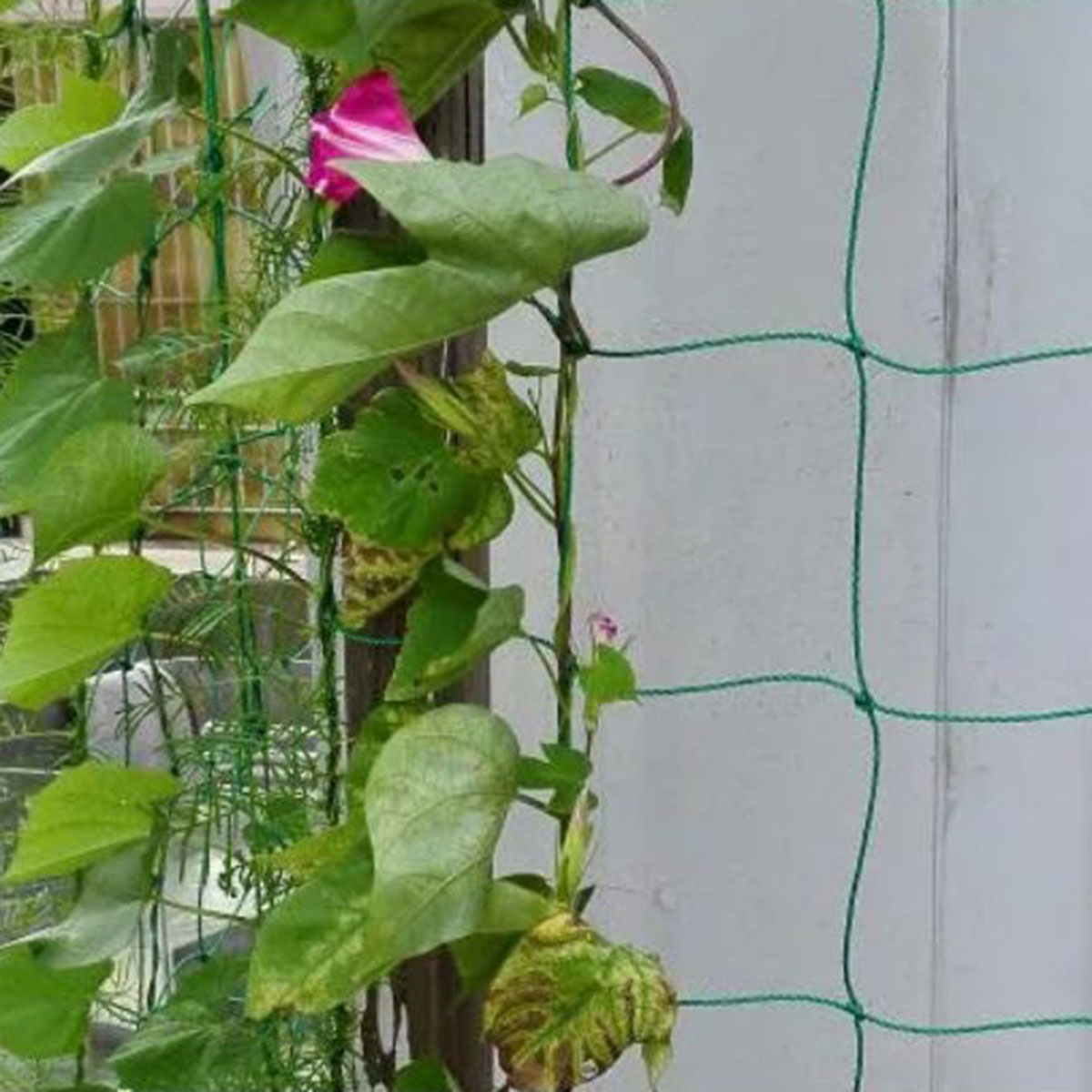 1 package Garden Grid Net for Climbing, Plant Climbing Vine Net, Green Garden Square Grid
