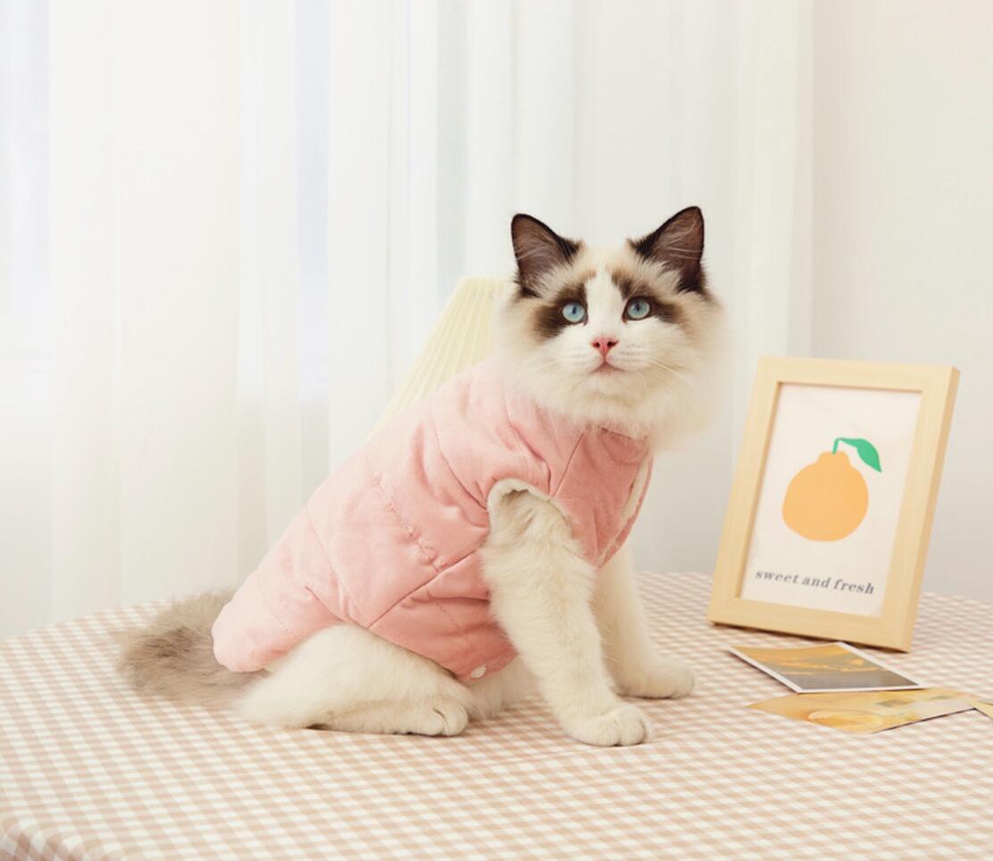 Cappotto per gatti