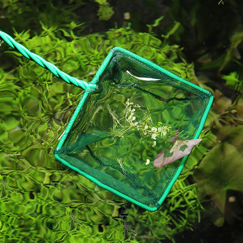 Epuisette à long manche pour aquarium,filet à poisson transportable de forme carrée pour réservoir, pour la pêche et le nettoyage des objets flottant dans l'eau, accessoire d'entretien