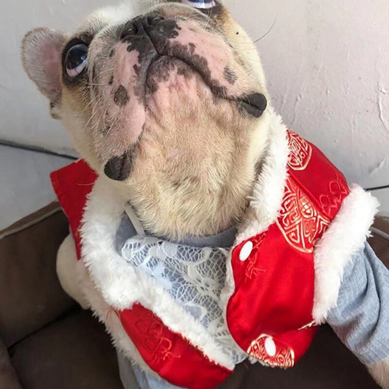 Silke tang dragt kæledyr forår festival kostume til hunde varm vinter tøj ærmeløs frakke