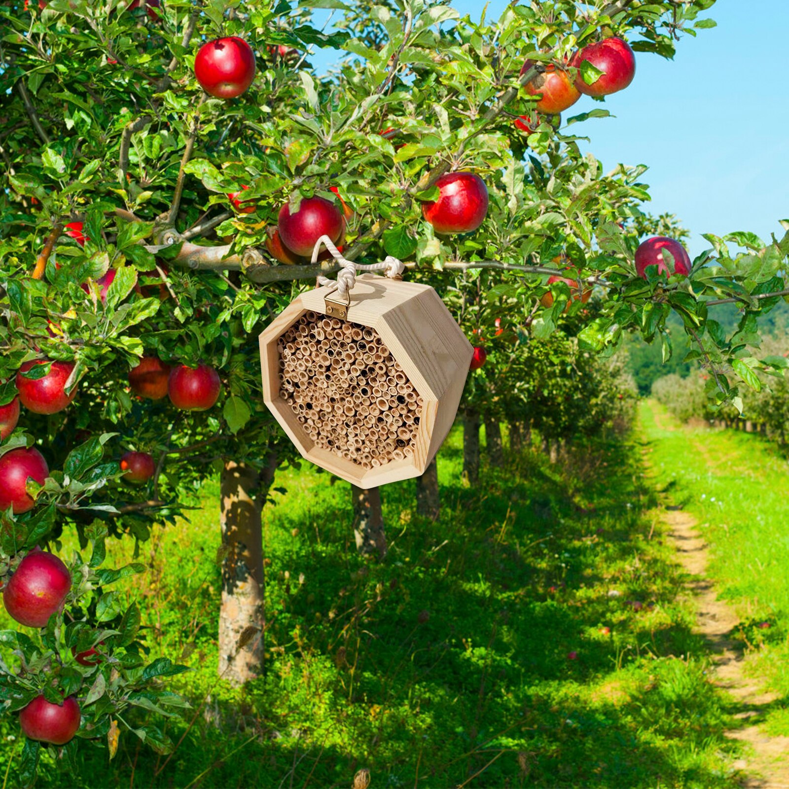 1 PC Honeycomb Natural Bamboo Wooden Insect Bee House 5.9" Small Bee Habitat Bee Hive for Outdoor Garden Yards Decoration