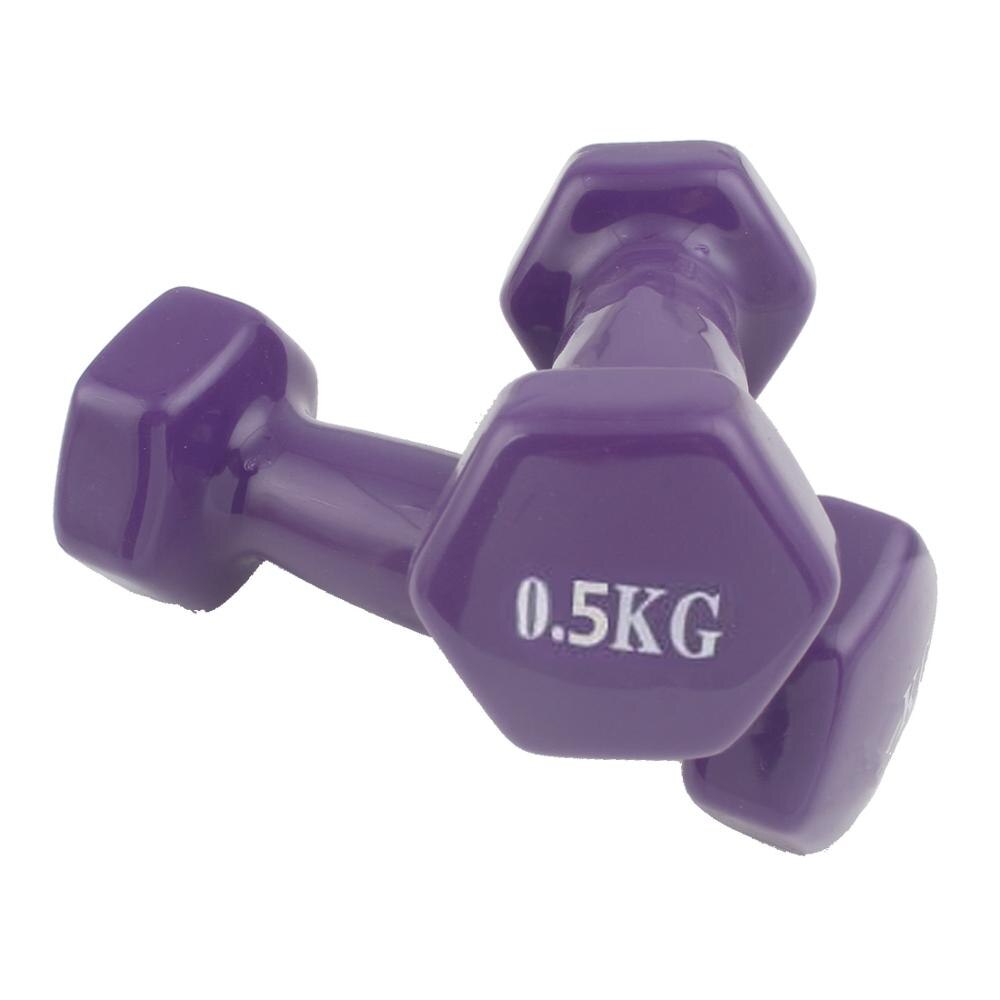 500g/Piece Dip Dumbbell Fitness Equipment Unisex Dumbbell Family Yoga Dumbbells Multi-Functional Fitness Dumbbells