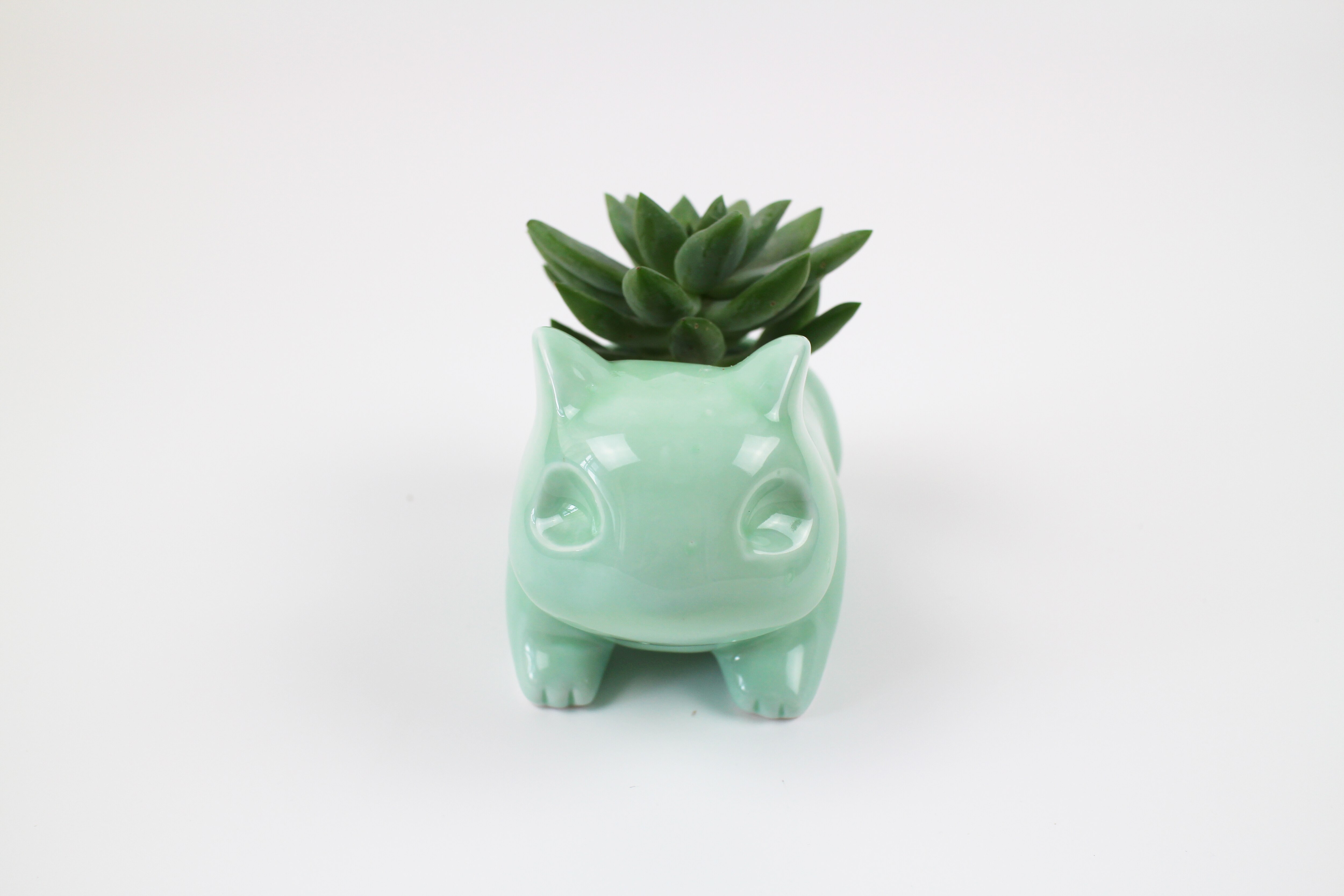 Kawaii Ceramic Flowerpot Succulent Planter Cute Green Plants Flower Pot with Hole For
