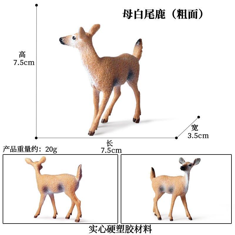 Simulation Wald Wilde Tiere Modell rot Fuchs Kitz Reindee Elch gemäht Wolf Aktion Figur Figur Miniaturen Pädagogisches Spielzeug: Hirsch Spielzeuge 4