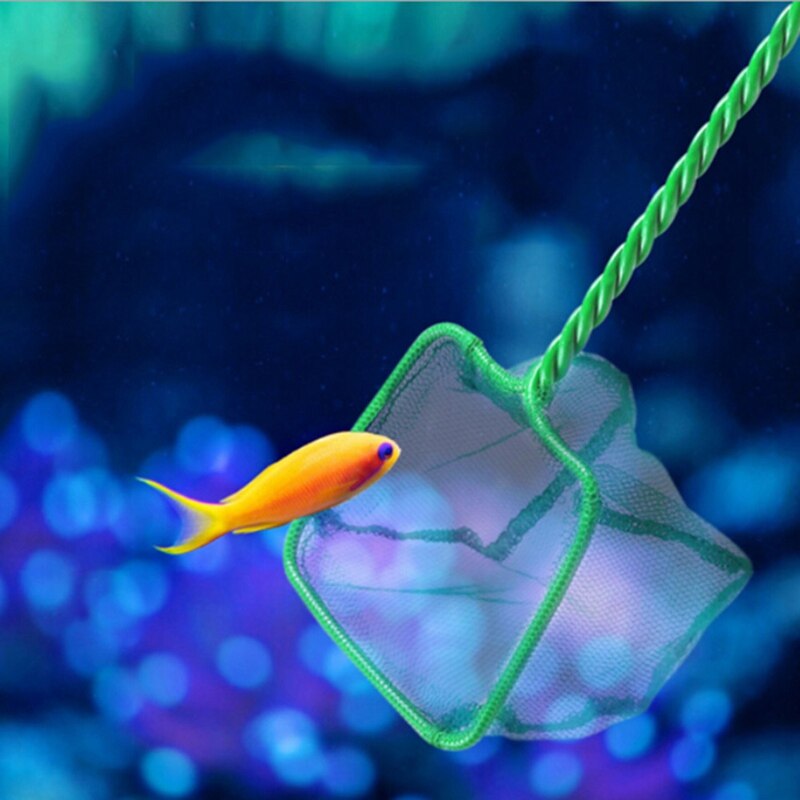 Aquarium Accessories Fish Tank Fish-catching Net Network Round Square Fish-catching Net Hand Stretching Aquarium Dip Net Dredge: 5 inches