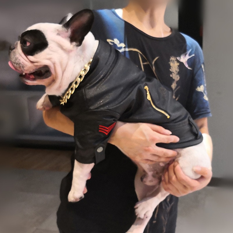 Vinter vindtæt hundefrakke jakke fransk bulldog kæledyrstøj varmt pu læder hundetøj til små store hunde hvalpe kæledyrstøj