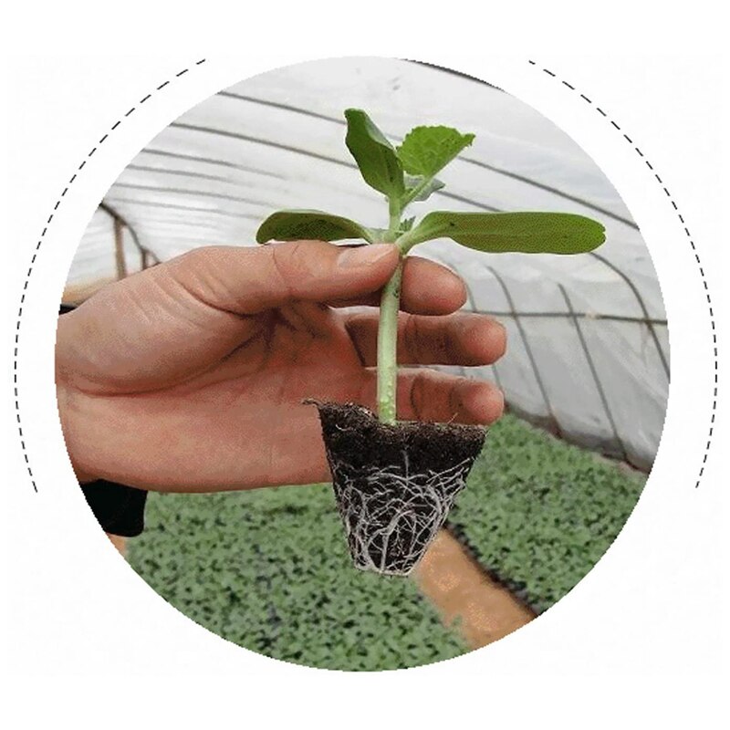 10Pcs 128 Cell Seedling Starter Tray Seed Germination Plant Flower Pots Nursery Grow Box Propagation for Garden