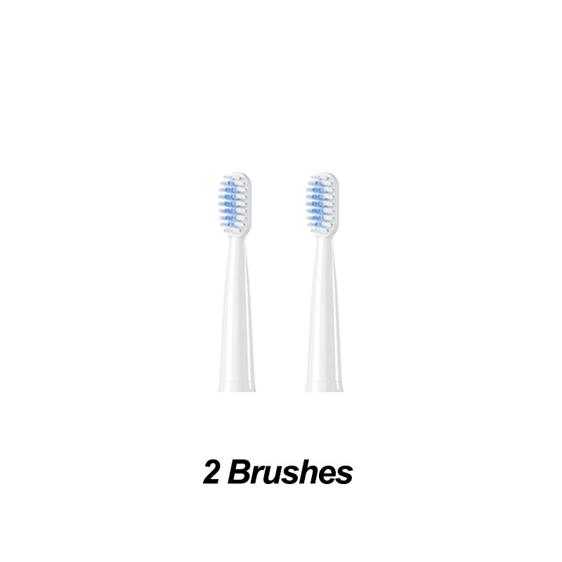 Electric Toothbrush Sonic Toothbrush USB Induction Charging Toothbrush Smart Toothbrush Electric Tooth Scaler Wave Brush: 2 brushes