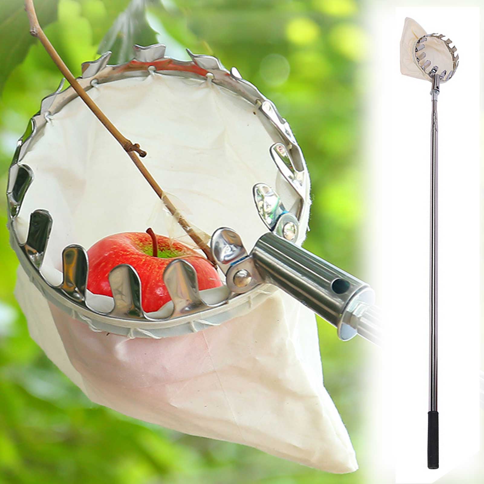 Asta telescopica per raccoglitrice di frutta con borsa telescopica per raccolta di frutta strumento per la raccolta di melone da giardino
