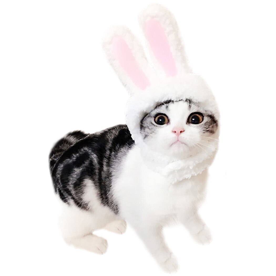 Słodki pies kapelusz zwierząt Kawaii placki czapka ciepłe akcesoria dla zwierząt domowych czapki dla psów czapki zwierząt domowych czapka śmieszne Cosplay dla zwierząt domowych kapelusz dla małych szczeniąt: Różowy