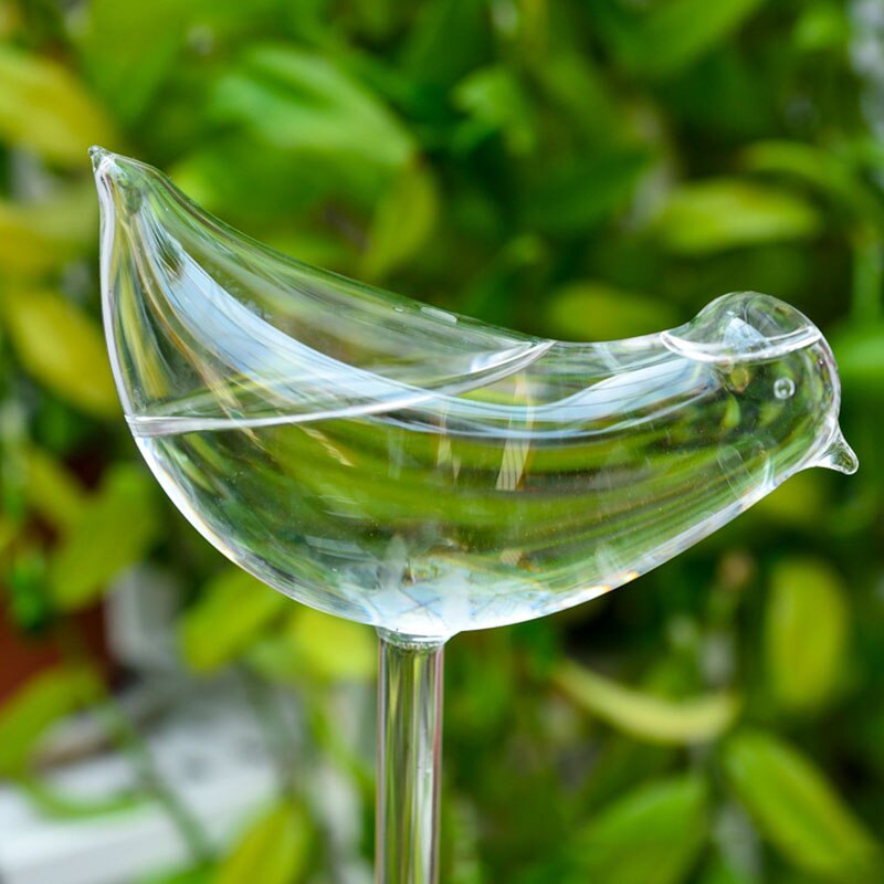 Pvc/glas självbevattningsanordningar växt blommor vattnare fågelstjärna hjärta vattenmatare automatisk vattning för inomhusträdgård: Fågel