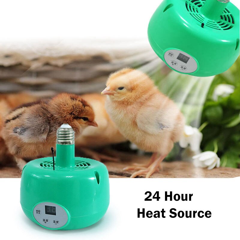 Lampe chauffante à contrôle de température, 300W, contrôle de la température, pour animaux de ferme, ampoule chauffante pour poules, pigeons