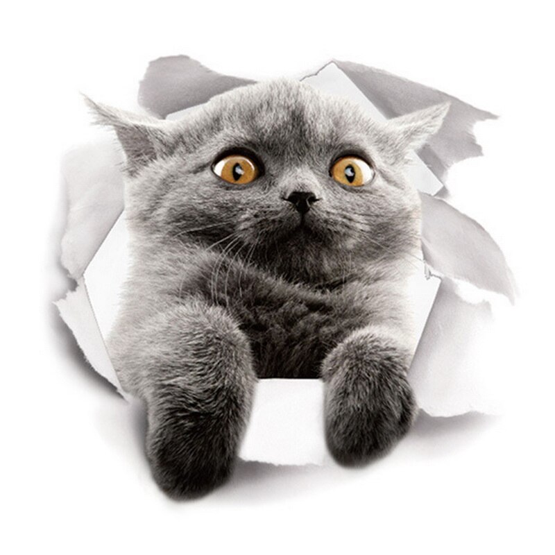 Pegatinas de vinilo 3D para el baño de gatos, vinilo impermeable con de Gato Azul encantador para la pared del baño: 07