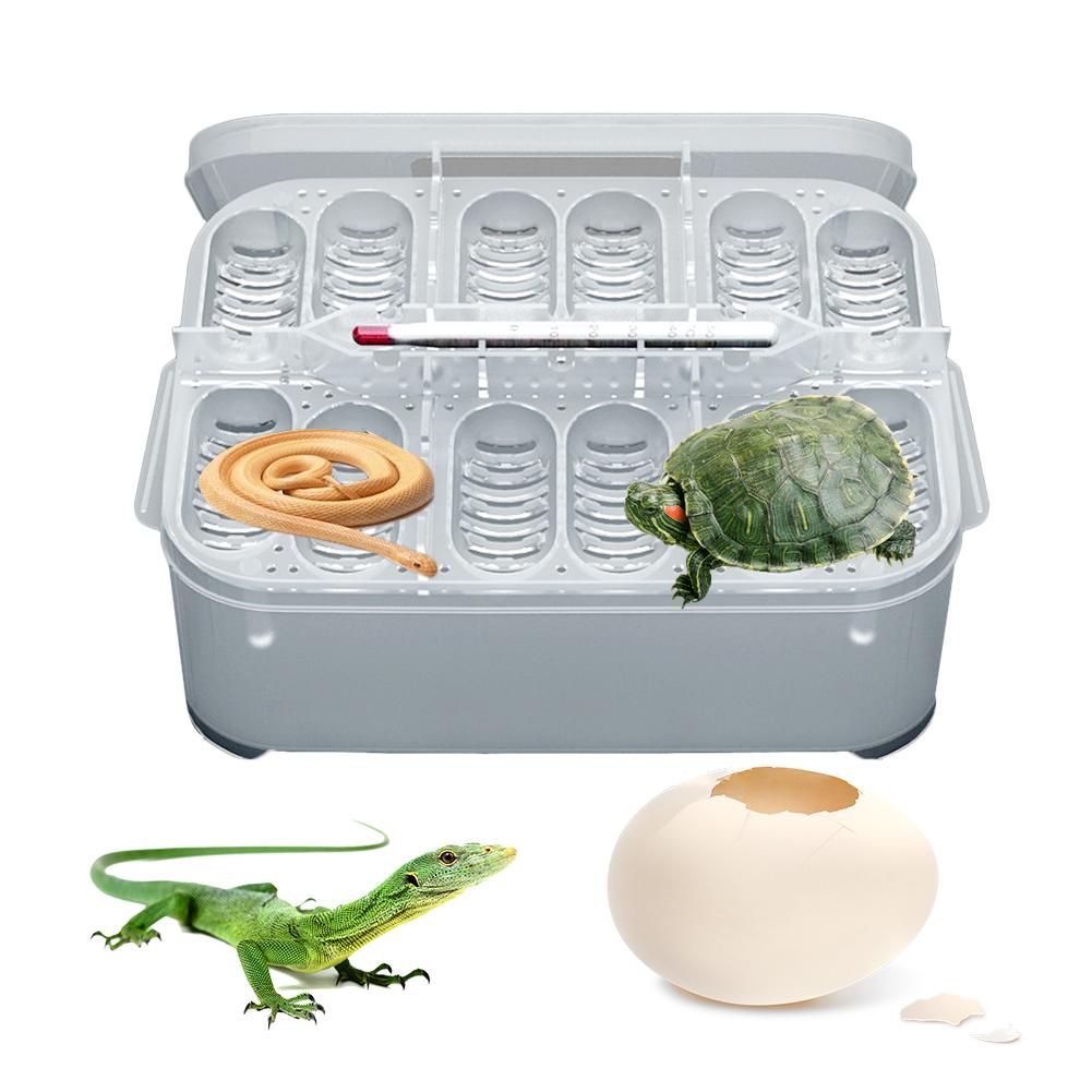 Incubateur pour élever des reptiles, incubateur avancé avec plateau à œufs, petit lézard grimpant