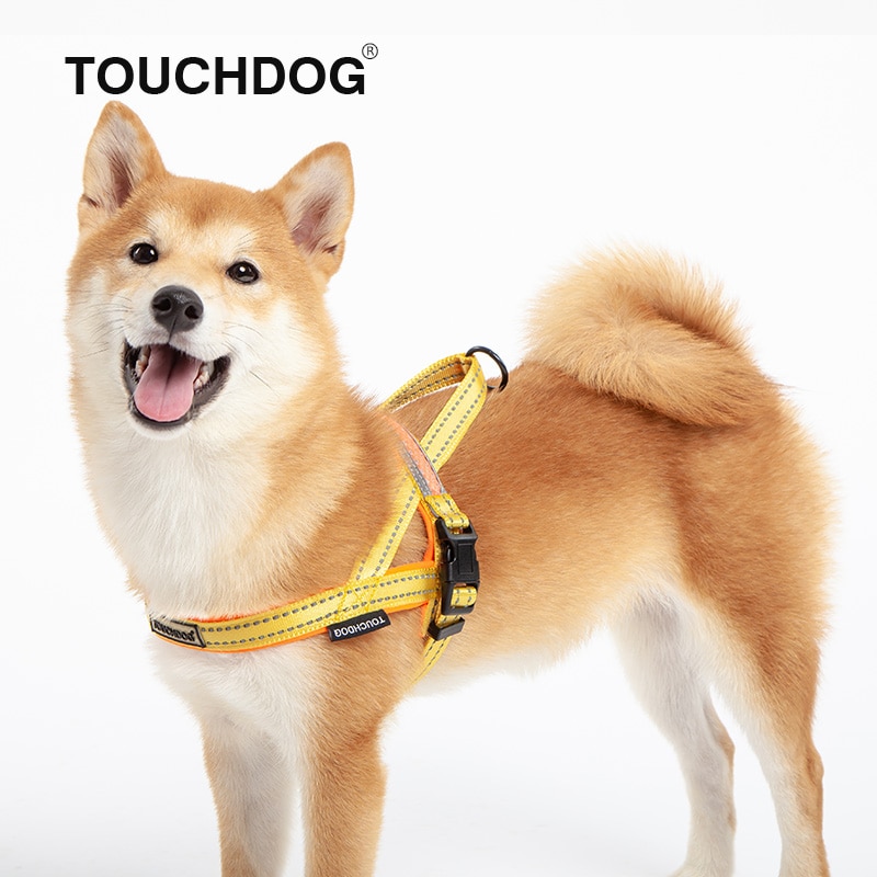 Touchdog koiran valjaat led valot koiran talutushihna heijastavat koiran kaulapannat valjaat koirille lemmikkitarvikkeet pienet keskisuuret koirat