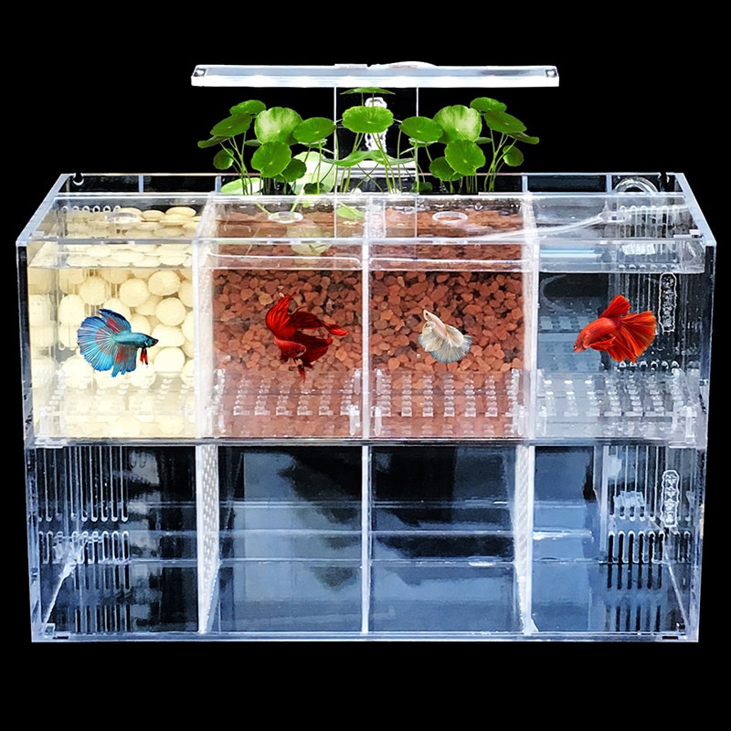 Small Fish Fry Breeding Isolation Box Acrylic Desktop Fish Tank Aquarium With LED Light