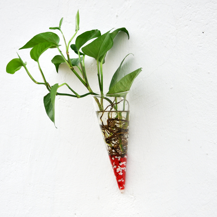 1Piece Hanging Glass DIY Bottle Pot Flower Plant Vase High Borosilicate Container Cone Shape