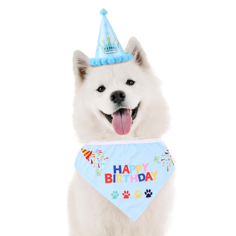 Sombrero de cumpleaños con estampado de letras para mascota, sombrero para , disfraz "It is My Birthday", accesorio para mascota para , 1 Juego, novedad
