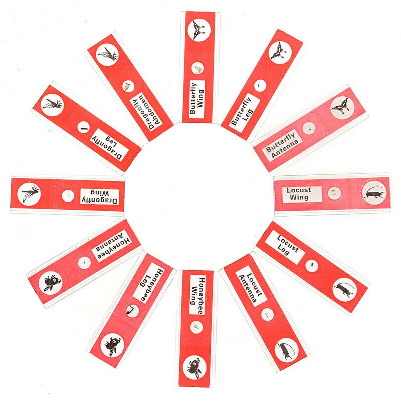 12/48Pcs/Set Prepared Microscope Slides Specimen Animals Insects Plants Flowers Sample: Red