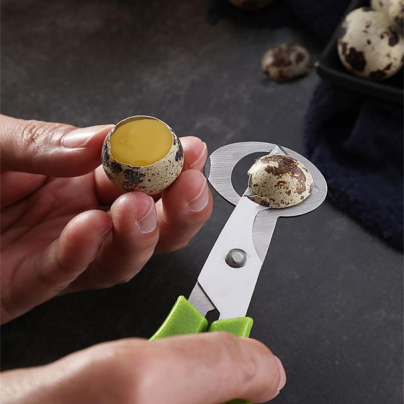 Ouvre-ciseaux pour œufs de caille, outil de ciseaux pour œufs de Pigeon, gadget de cuisine