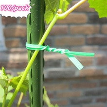 Lot de 100 attaches métalliques pour plantes de jardin prédécoupées, prêtes à être coupées, petites et courtes, vertes, accessoires de fixation pour plantes de jardinage