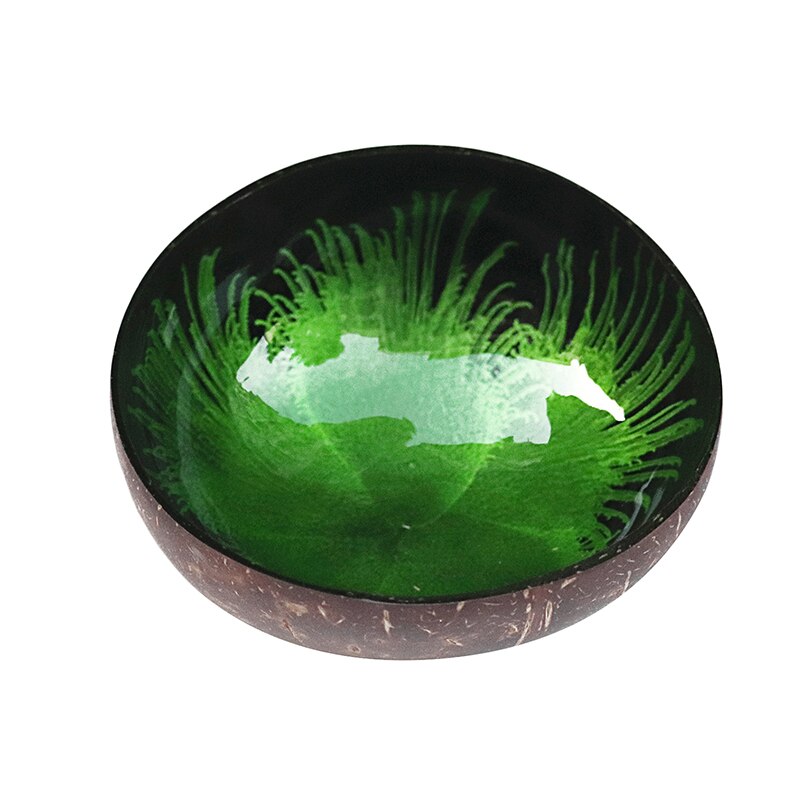 Bol en coquille de noix de coco, tendance, Vintage, , salade de fruits, nouilles, riz, Art décoratif, vaisselle de table, cuisine, Restaurant: Green