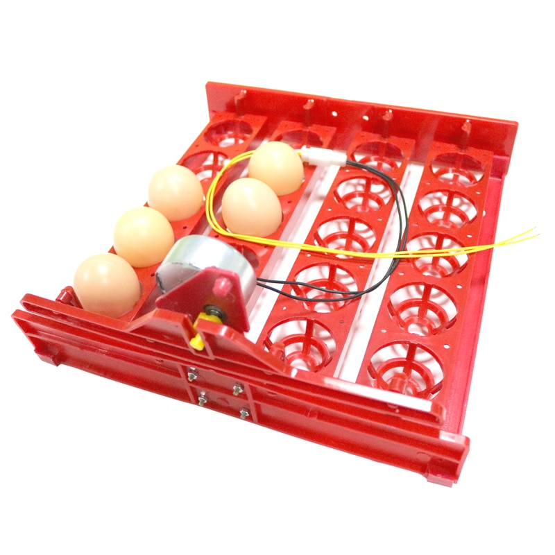 20 Eggs Incubator Turn Eggs Tray 220V/110V/12V Motor Chicken Eggs Automatic Hatching DIY Incubator Accessories Equipment 1 Set
