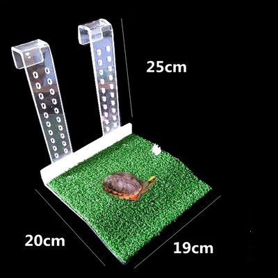 Turtle Basking Platform Height-Adjustable Hanging Amphibian Platform Fish Tank Aquarium Platform Tortoise Resting Terrace: 4